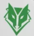 White Green X-box